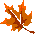 p_mapleleaf_brown.gif